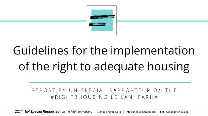 un-special-rapporteur-guidelines-2020